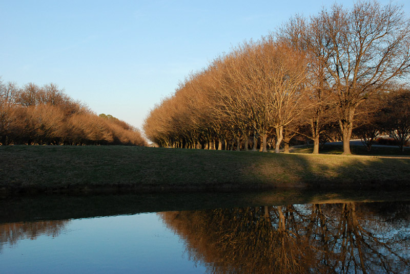 Norfolk Botanical Garden