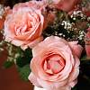 Mother's Day